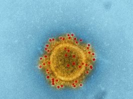 Coronavirus Epidemic: More Than 100,000 Cases Worldwide