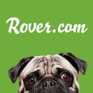 rover ad